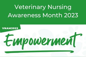 Veterinary Nursing Awareness Month At Vet4Life