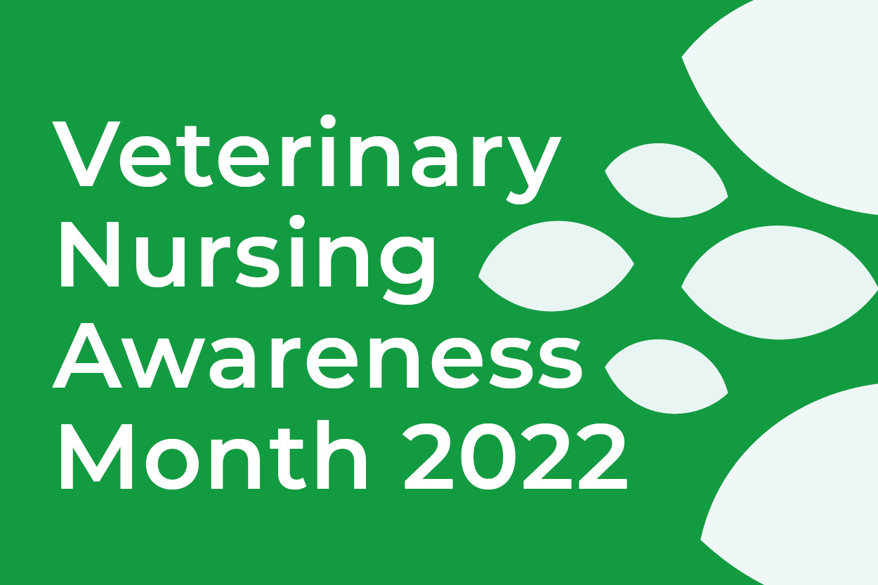Veterinary Nursing Awareness Month At Vet4Life