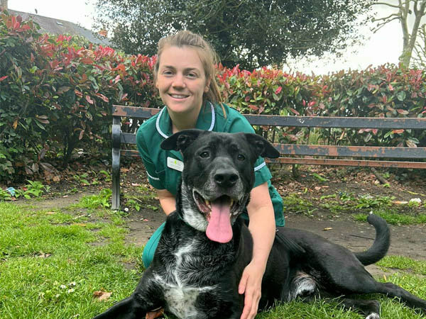 clinical nursing manager passes exams at vet4life in middlesex