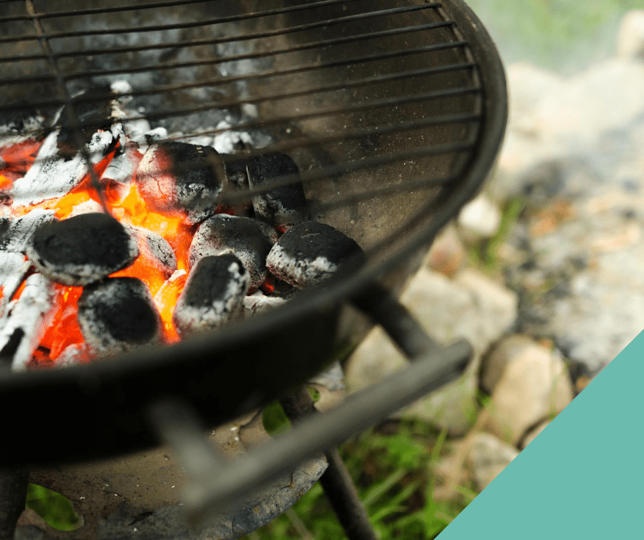 Barbecues and your pets – things to consider  