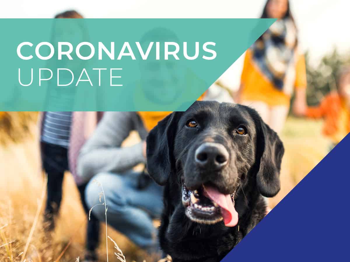 Vet4Life COVID-19 Update - March 31, 2020