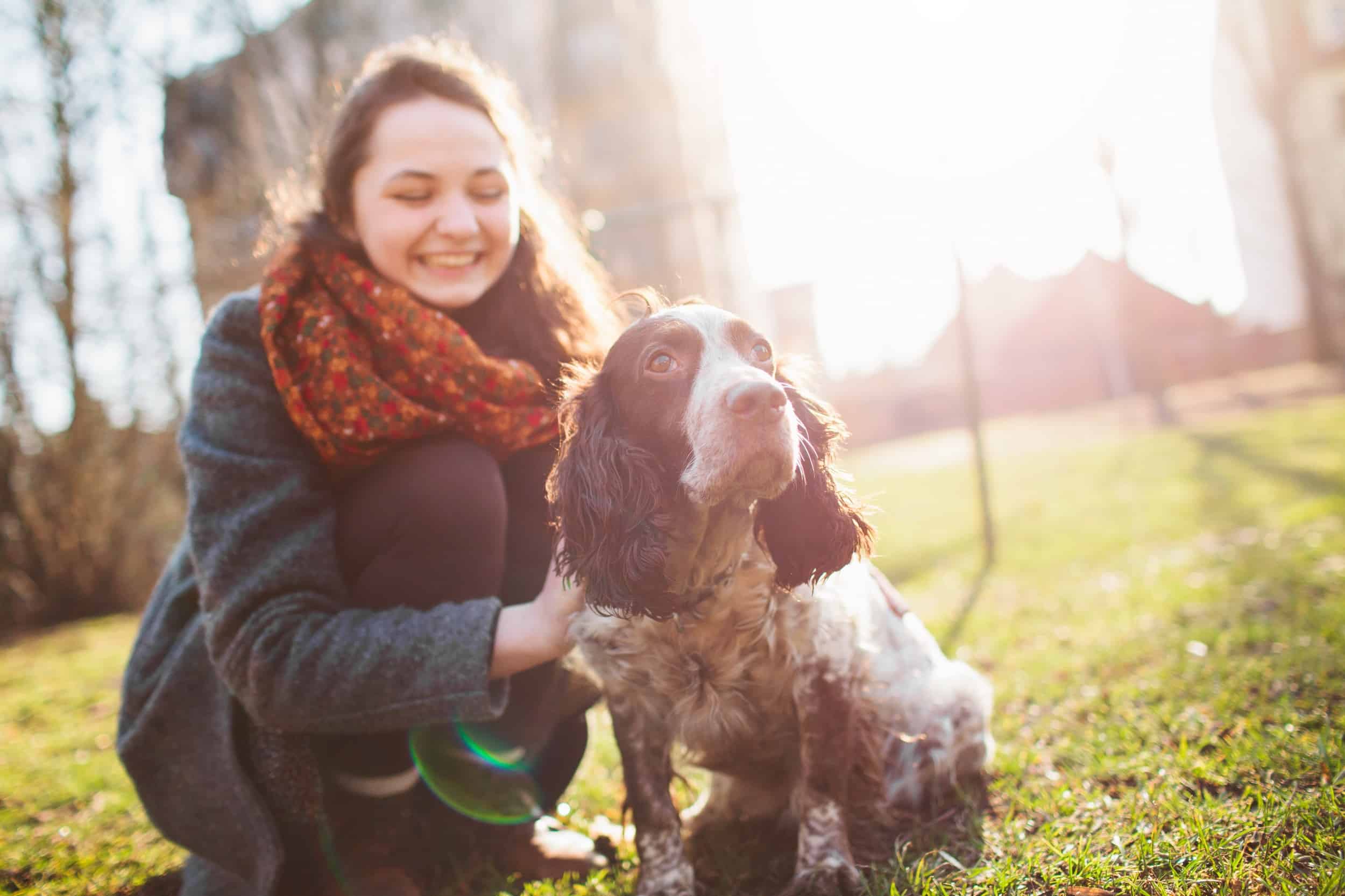 Deaf awareness week – the important role of dogs