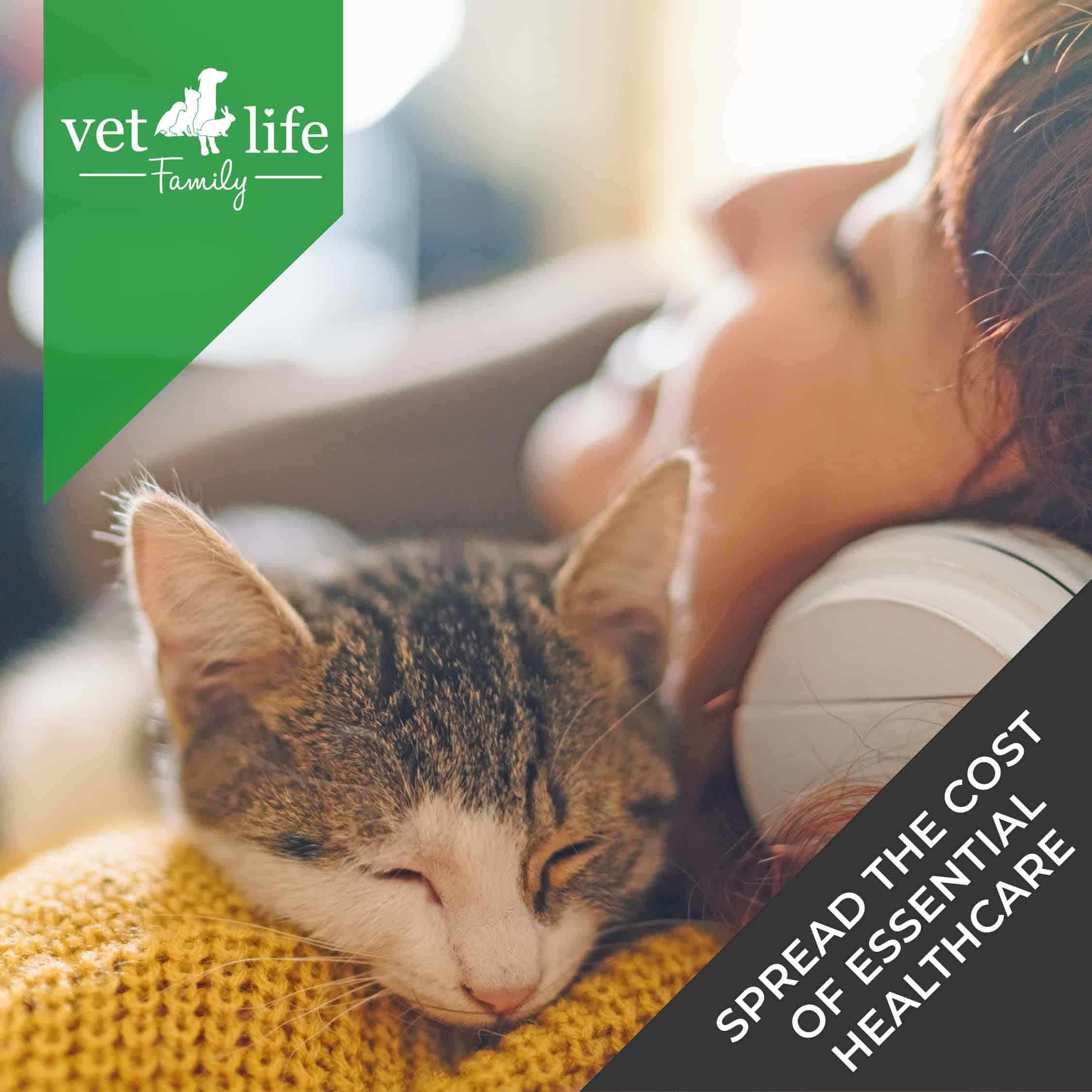 5 benefits to joining our Vet4life Family Plan