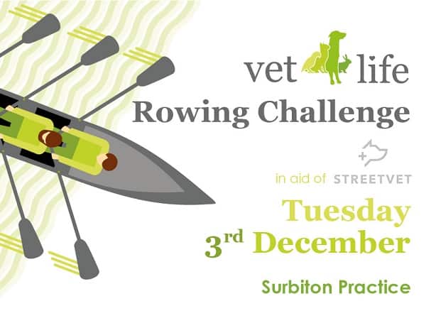 Rowing 100km for StreetVet charity