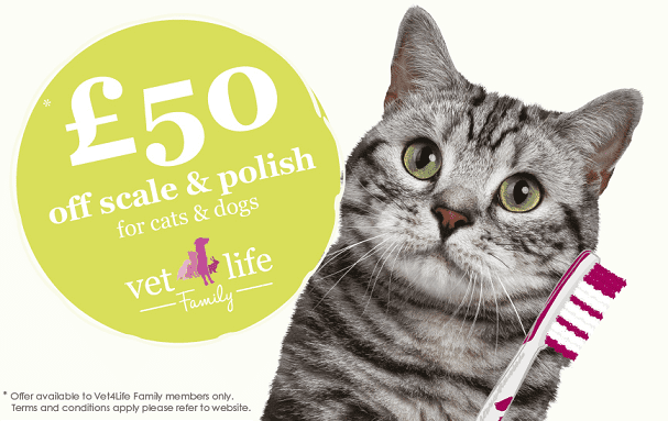 £50 off scale & polish for cats & dogs