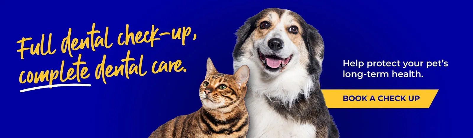 The best vets in Teddington, Shepperton and Surbiton - Vet4Life