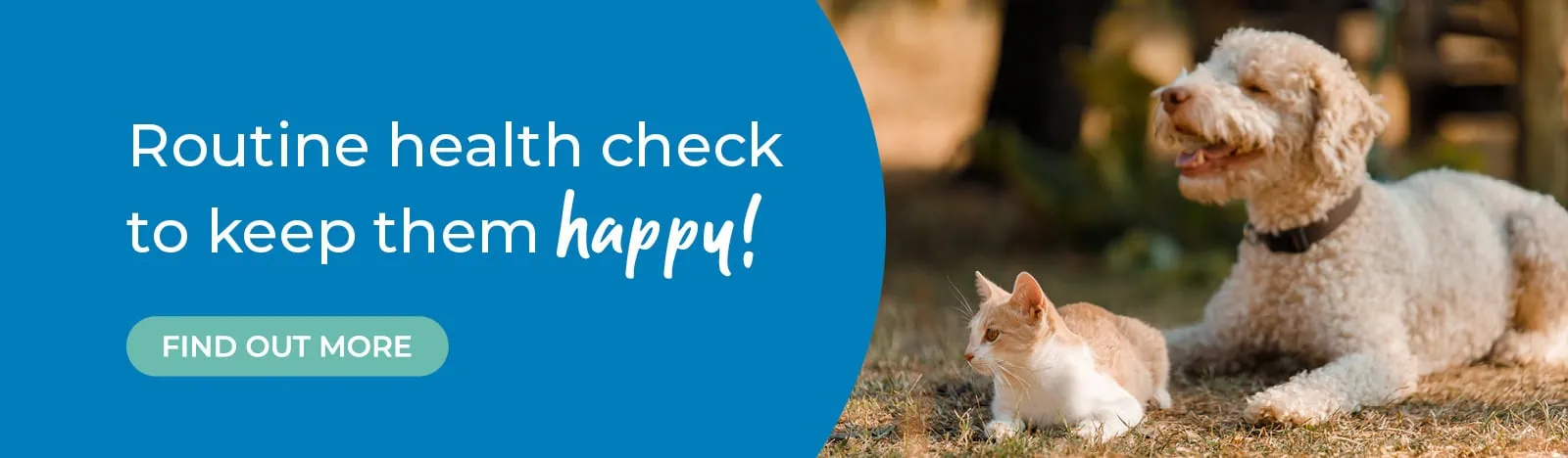 Dog Pet Health for Life Plan