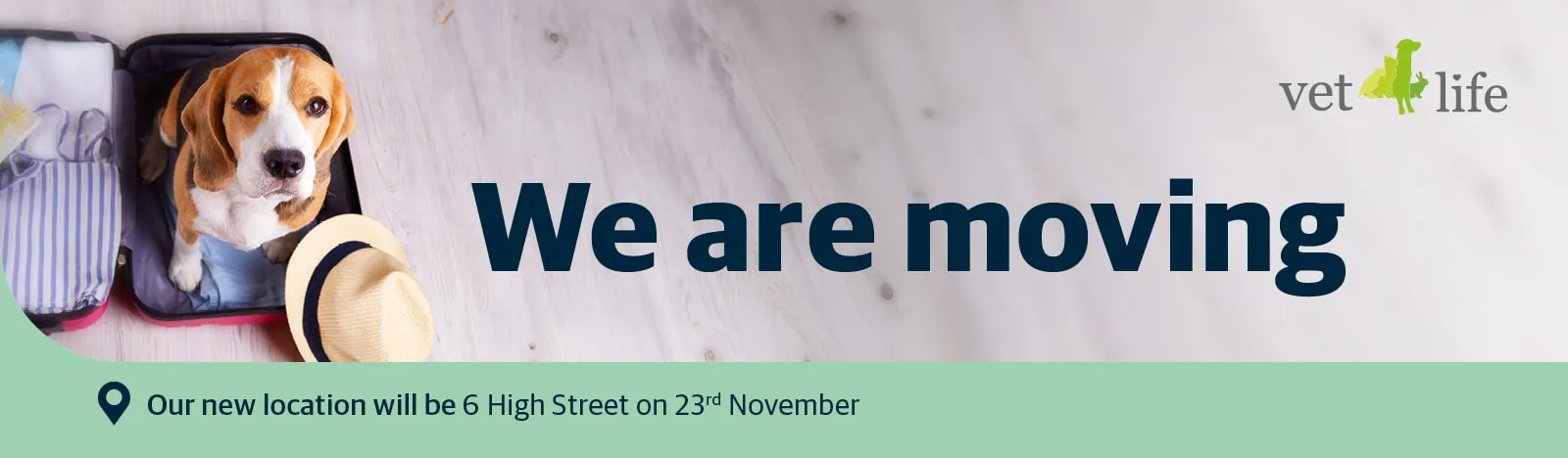 The best vets in Teddington, Shepperton and Surbiton - Vet4Life